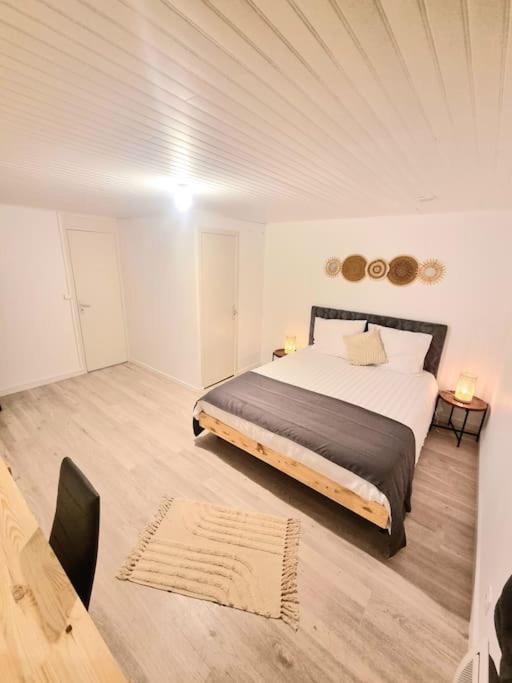 Appartement Neuf Rive-de-Gier 외부 사진